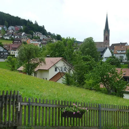 Naehe Nationalpark Apartment Baiersbronn Exterior photo