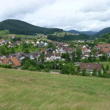 Naehe Nationalpark Apartment Baiersbronn Exterior photo