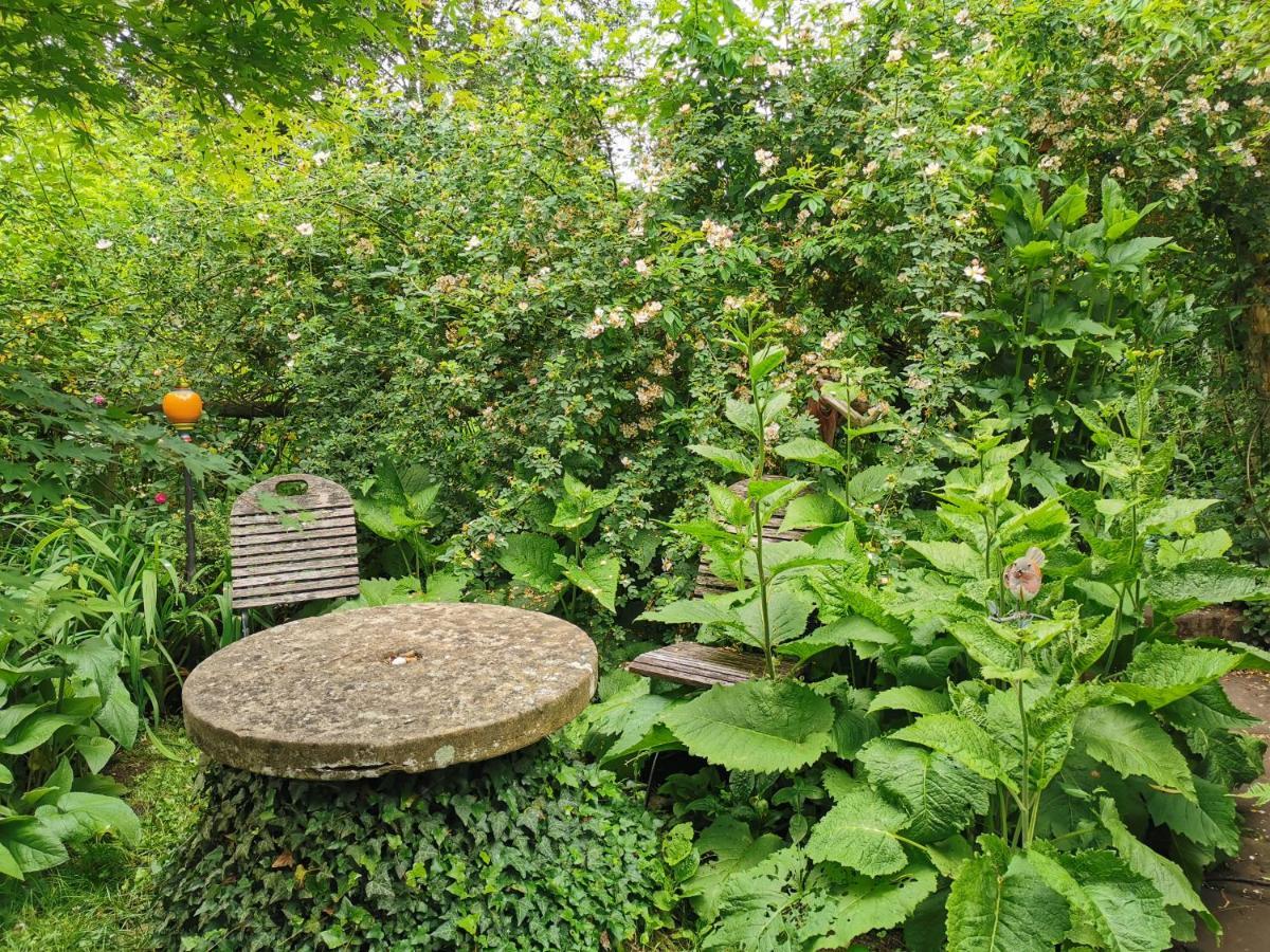 Naehe Nationalpark Apartment Baiersbronn