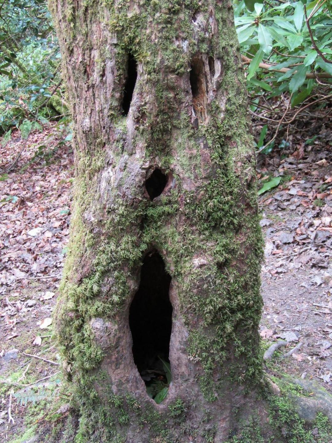 Naehe Nationalpark Apartment