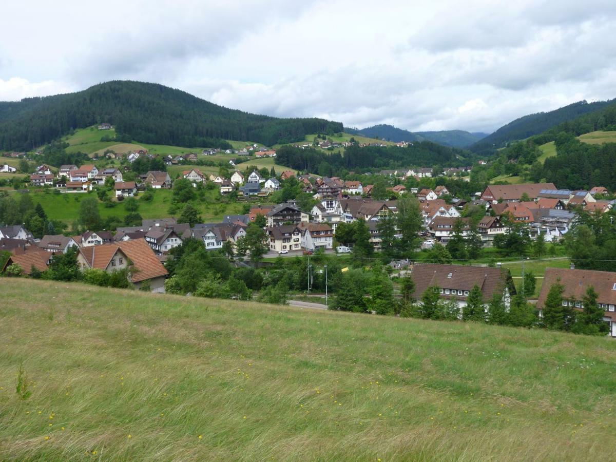 Naehe Nationalpark * Baiersbronn